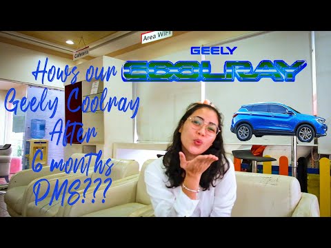 Geely Coolray How's our Car after 6 months PMS? | Little Bad News