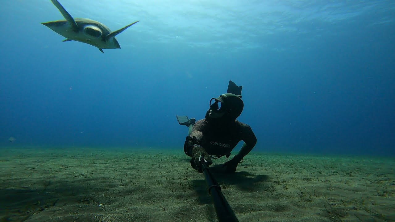 Apnea con tortugas thumbnail