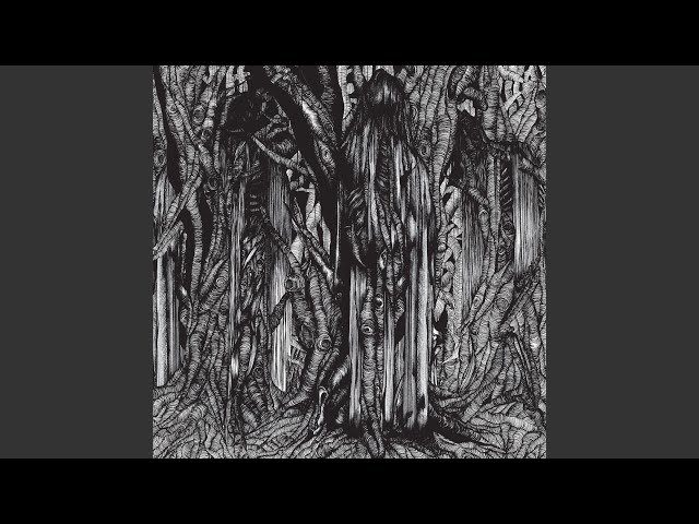 Descubre la oscura y misteriosa música de Sunn O)))