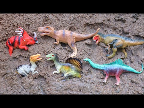 Dirty Dinosaur Toys, Looking for T-rex, Kentrosaurus, Brachiosaurus, Triceratops Dinosaurs in the...