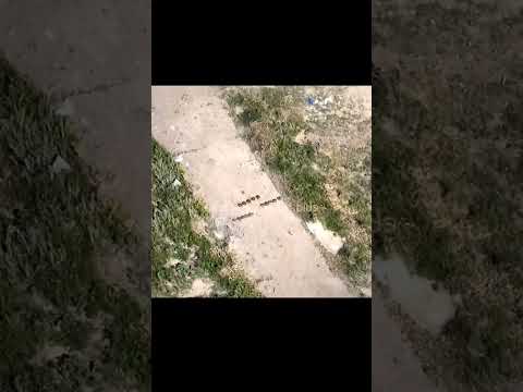 🇺🇦🇷🇺: Um drone ucraniano Mavic 3, destrói com sua granada várias minas russas anti-veículo TM-62.