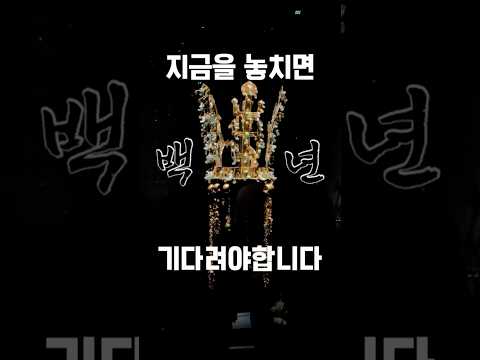 신라의 금관이 최초로 한자리에 모입니다.