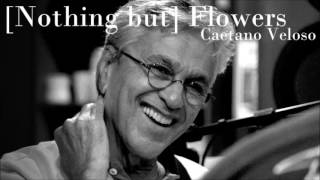 Caetano Veloso - [Nothing but] Flowers