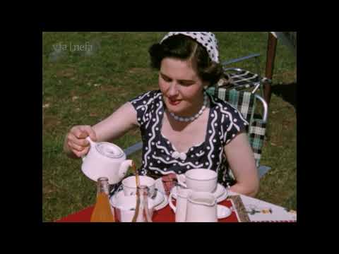 Archive Footage of the Great Yorkshire Show