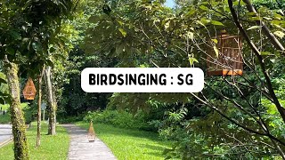 || SOUND ONLY || Birdsinging : Saturday 9 AM, April 2023 : Zehnder Rd, Sinagpore