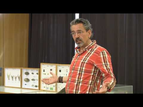 Fischereigesetz Kanton Zürich