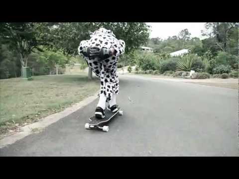 Zac Gaines | Mr Moo