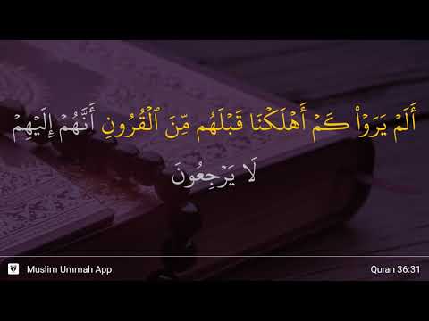 Ya Sin ayat 31