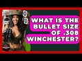 What Is The Bullet Size Of 308 Winchester The Marksman S Journal