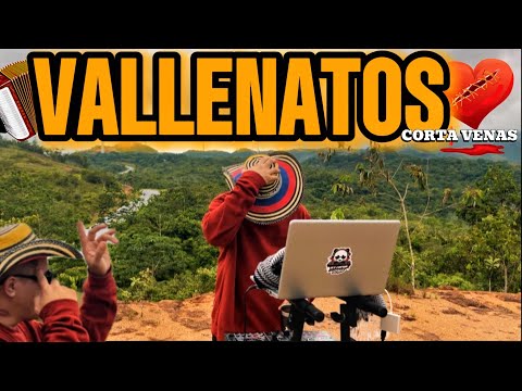 #VALLENATOS CORTA VENAS ❤️‍🩹🥃#MIX2025🪗🎶 #DJCOCHOSTYLE #LOSINQUIETOS #LUISMATEUS #JORGECELEDON