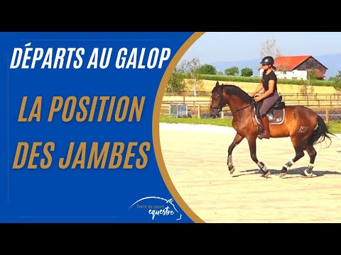 Départ au galop : comment bien placer ses jambes ?