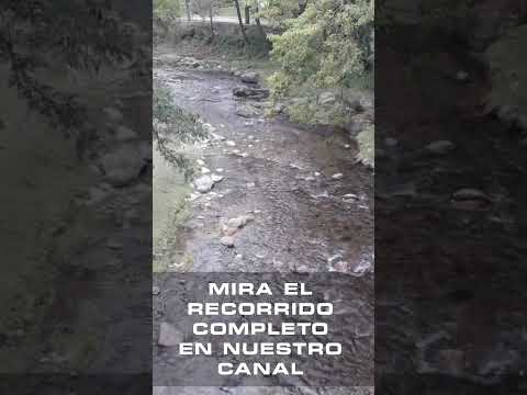 El Trapiche - San Luis (Adelanto 005)