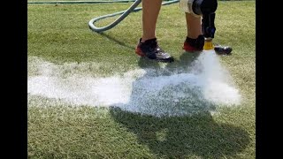 How to Get Rid of Fairy Rings on Your Sports Field