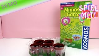Kosmos Mimosen züchten - Experimentierkasten Demo