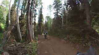 Download lagu More of Hodges Trail. mp3 Download lagu More of Hodges Trail. mp3