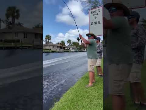 Boater Ignores No Wake Zone… Instant Karma 🎣