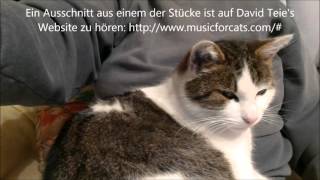 Maxi hört erstmals für Katzen komponierte Musik von David Teie