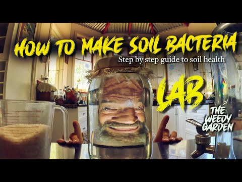 HOW TO MAKE SOIL BACTERIA - Step by Step Guide