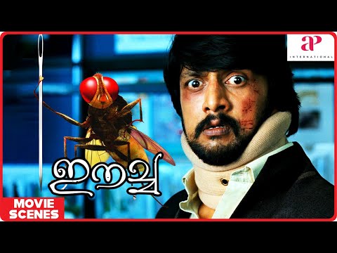 Eecha Malayalam Movie | Eecha Best Scenes - 02 | Nani | Samantha Ruth Prabhu | Sudeep | SS Rajamouli