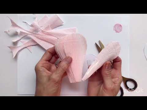 Make a Paper Peony - episode 1