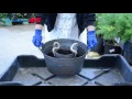 Living Space Potting Soil Planting Mix (50 L/10 kg)