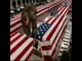 Steven Curtis Chapman   Up on the Mountain   Memorial Day Tribute   Music Video