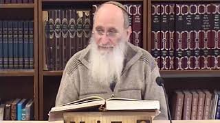 Tou Bichvat: Les fruits de la terre d'Israël et la délivrance – Rav Oury Cherki