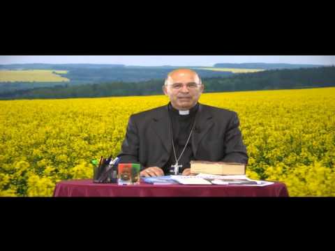 ONDA TG 12.09.2014 - MESSAGGIO VESCOVO AGLI STUDENTI