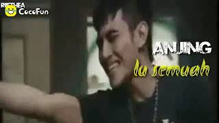 Download lagu anjing Lo semua mp3