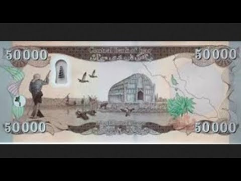 Evening News with MarkZ 11/10/2022