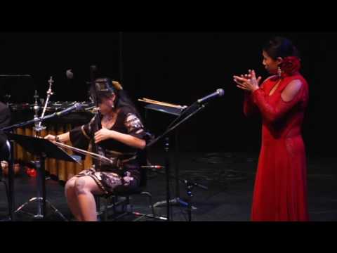 Anda Jaleo - Chinese flamenco music, Orchid Ensemble