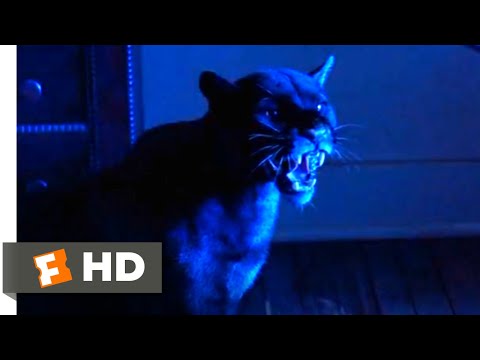 キャット・ピープル』（1982年） - ウェア・レオパードの襲撃シーン（7/10）｜Movieclips (Cat People (1982) - Were-Leopard Attack Scene (7/10) | Movieclips)
