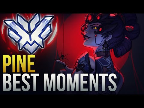 PINE BEST MOMENTS - GODLY DPS  - Overwatch Montage