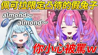 Vivi開佩可拉限定凸待時出現了一隻好像有點怪的兔子ww【綺綺羅羅Vivi/水宮樞】【ホロライブ切り抜き】【HOLOLIVE中文】