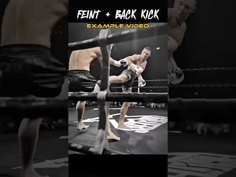Feint ➝ Back Kick | MMA Combo Tutorial 🥊🔥 #mmatutorial #kickboxing #technique #fighter