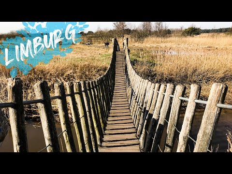 Winter hikes: Lommelse Sahara │De Plateaux-Hageven │ Terhills (Provincie Limburg)