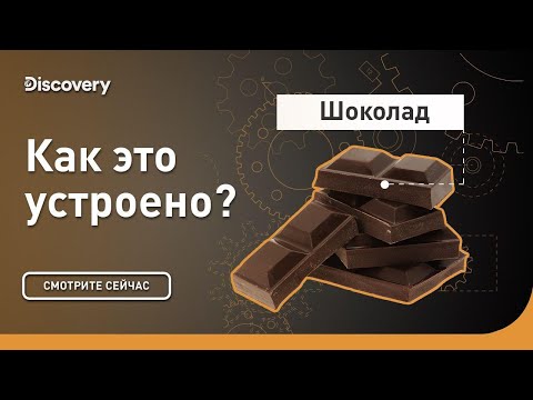 Шоколад | Как это устроено | Discovery
