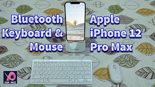 How to connect Bluetooth Keyboard and Mouse | Apple iPhone 12 Pro Max