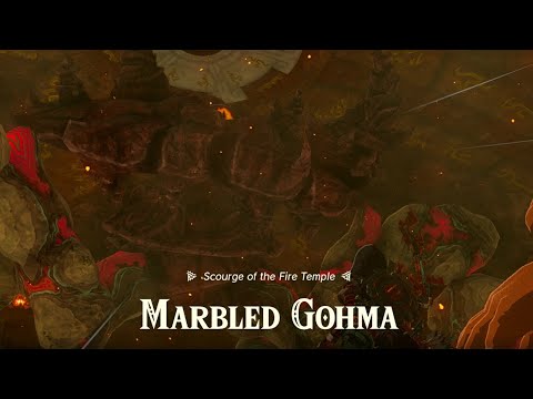 Legend of Zelda: Tears of the Kingdom - Marbled Gohma Boss Fight and Aftermatch