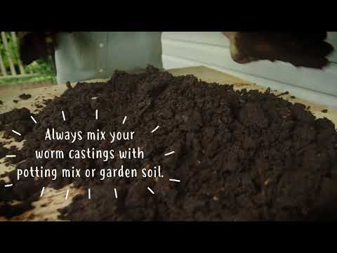 6. WHEN YOUR WORM FARM IS FULL