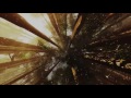 Where The Light Comes Down - By Carrie Newcomer