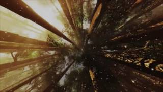 Where The Light Comes Down - By Carrie Newcomer