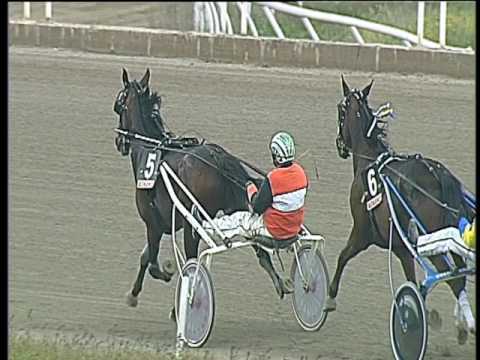 Trotto 02/04/2017 - 2ª corsa