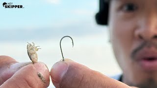 TINY Baits+ TINY Hooks: Beach Fishing in California