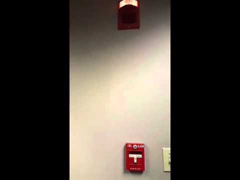 Simplex Fire Alarm test