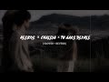 Heeriye X Chaleya X Tu Aake Dekhle Insta Mashup Slowed Reverb Viral
