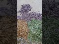 Bongkar Celengan Anak Sedikit Sedikit Menjadi Bukit