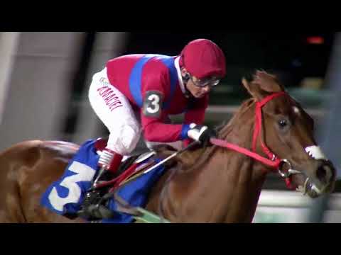 221030 c11 TIRANOS TEMBLAD