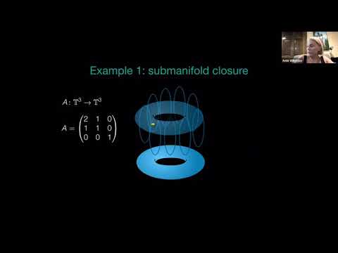 Amie Wilkinson (University of Chicago), "The strong unstable foliation of an Anosov diffeomorphism"