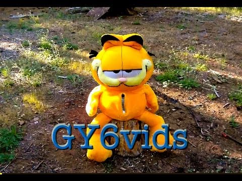 Blowing Up GARFIELD THE CAT